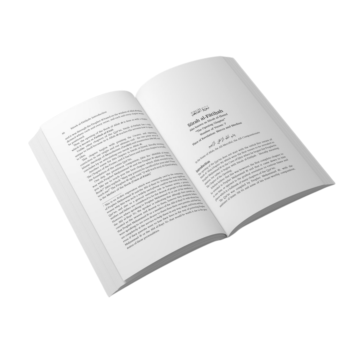 The Clear Guidance - Volume 1