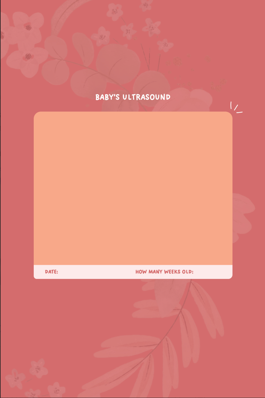 My Pregnancy Journal